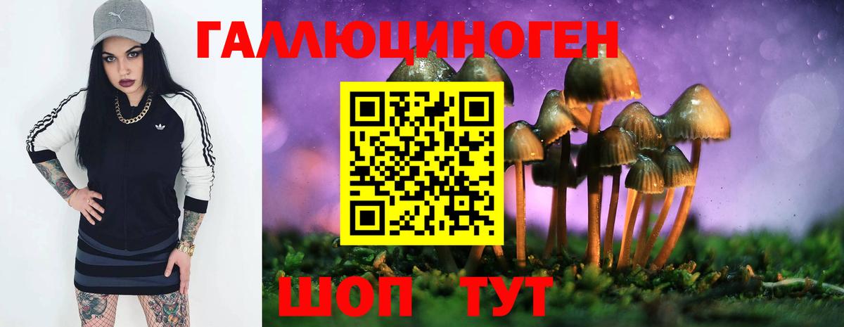 Псилоцибиновые грибы MAGIC MUSHROOMS Коряжма