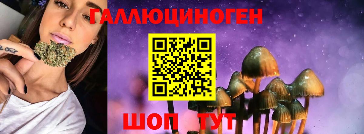 Псилоцибиновые грибы прущие грибы  где можно купить   Коряжма  Псилоцибиновые грибы Psilocybe  Вход с VPN 